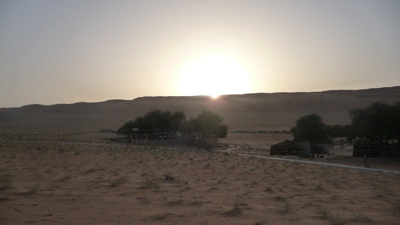 Oman Wahiba Sands (17).JPG